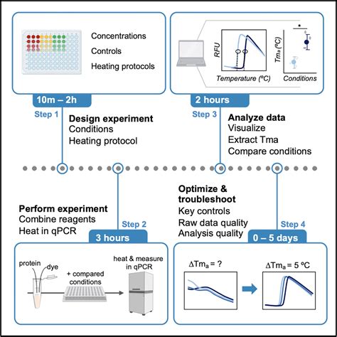 differential scanning protein